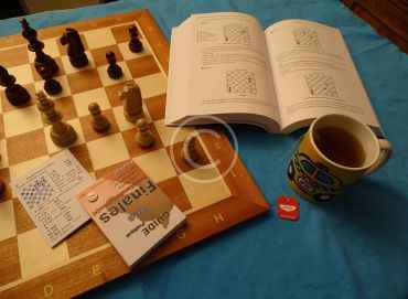 Endgame insights: Chess masterclass